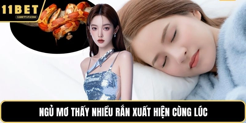 Ngủ mơ thấy nhiều rắn xuất hiện cùng lúc