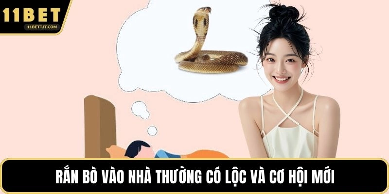 Rắn bò vào nhà thường có lộc và cơ hội mới